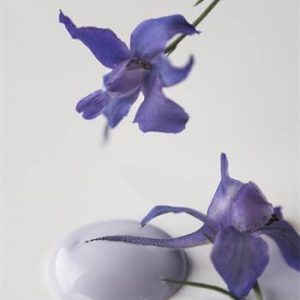 Vintage Paint Kretafestek French Lavender 100ml Cikkszam 701128